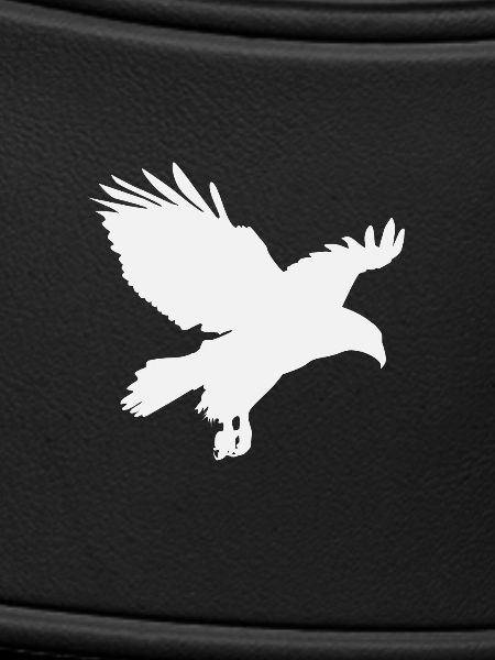 Eagle Eagle
