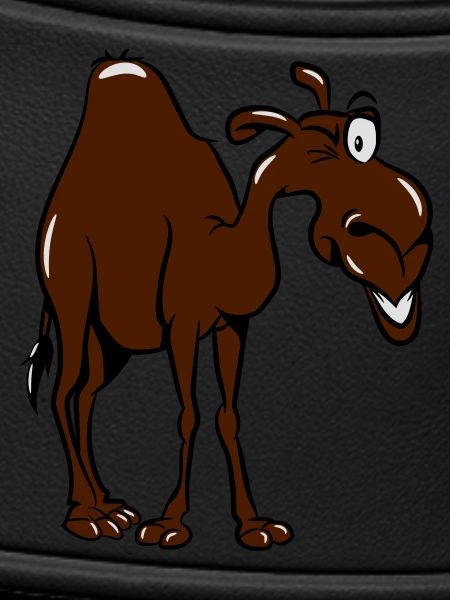 camel