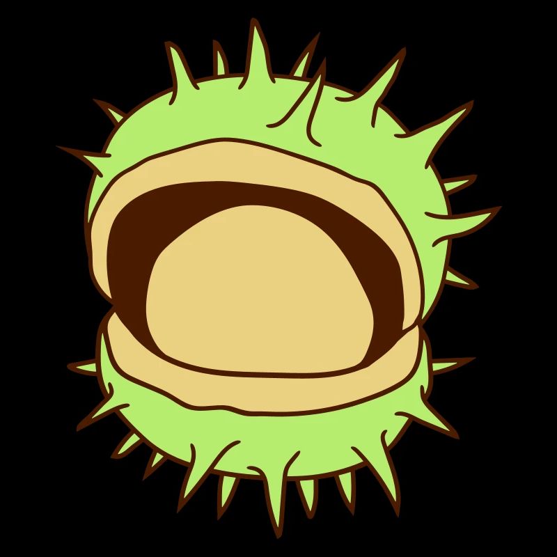 chestnut spike ball geoeffnet huelle fruit he