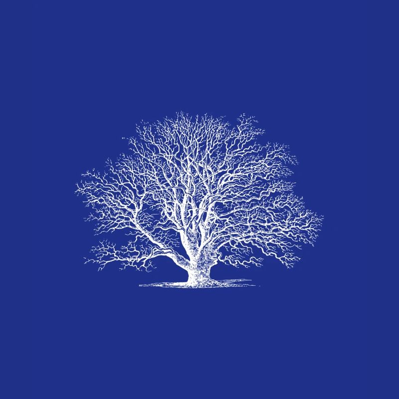 Tree Tree