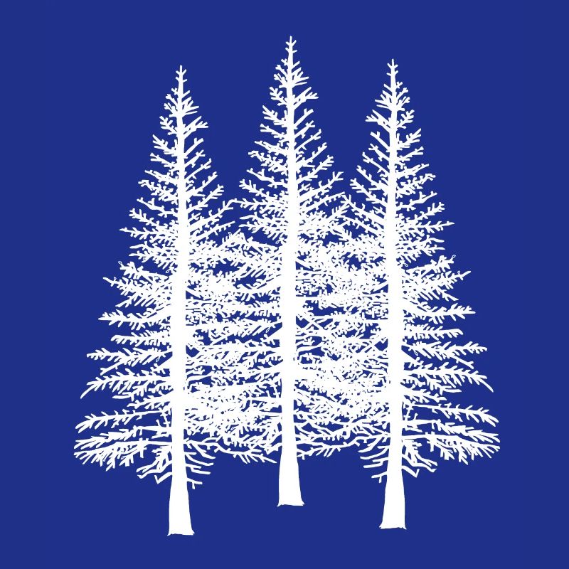 Forest tree trees nature conservation ecology environment