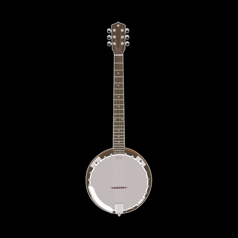 Banjo - Einzel Banjo