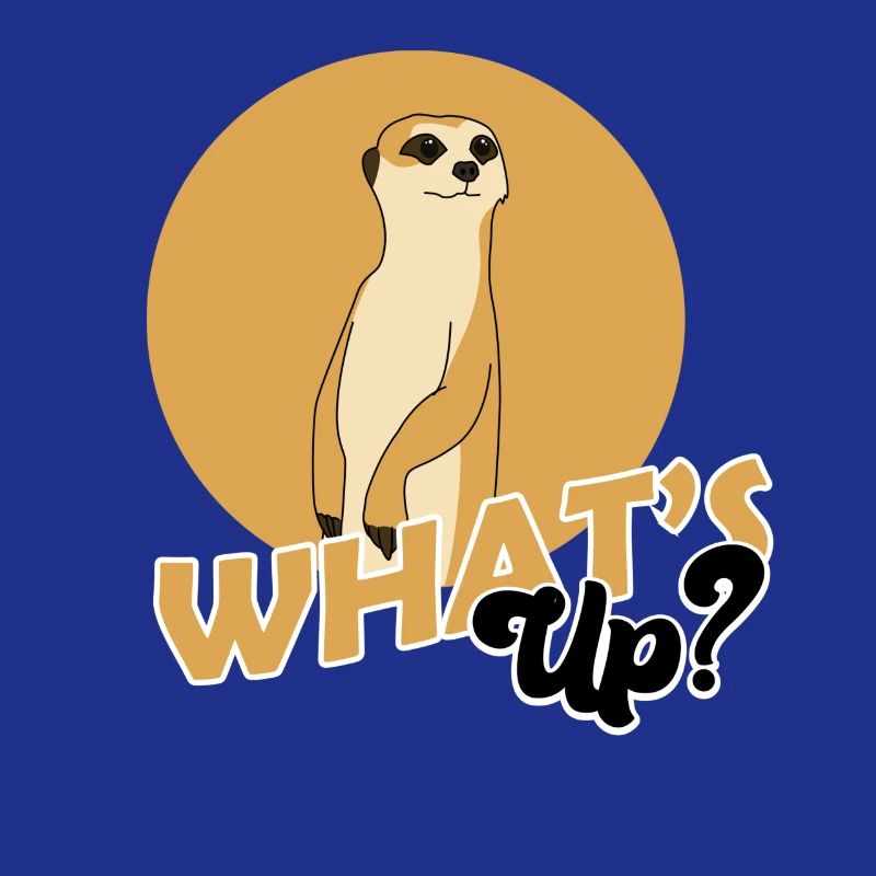 Erdmännchen, Erdmännchen süss, Erdmännchen Wache