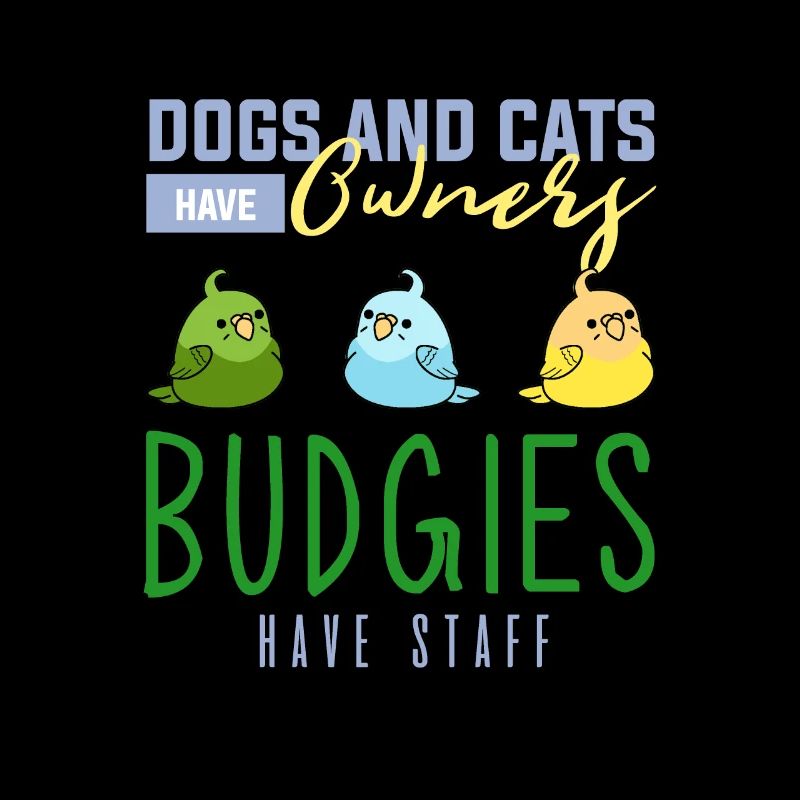 Budgerigar, budgie birds, parakeet