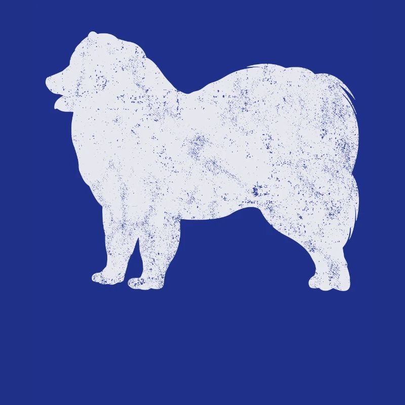 Samojede Samoyed Hundebesitzer