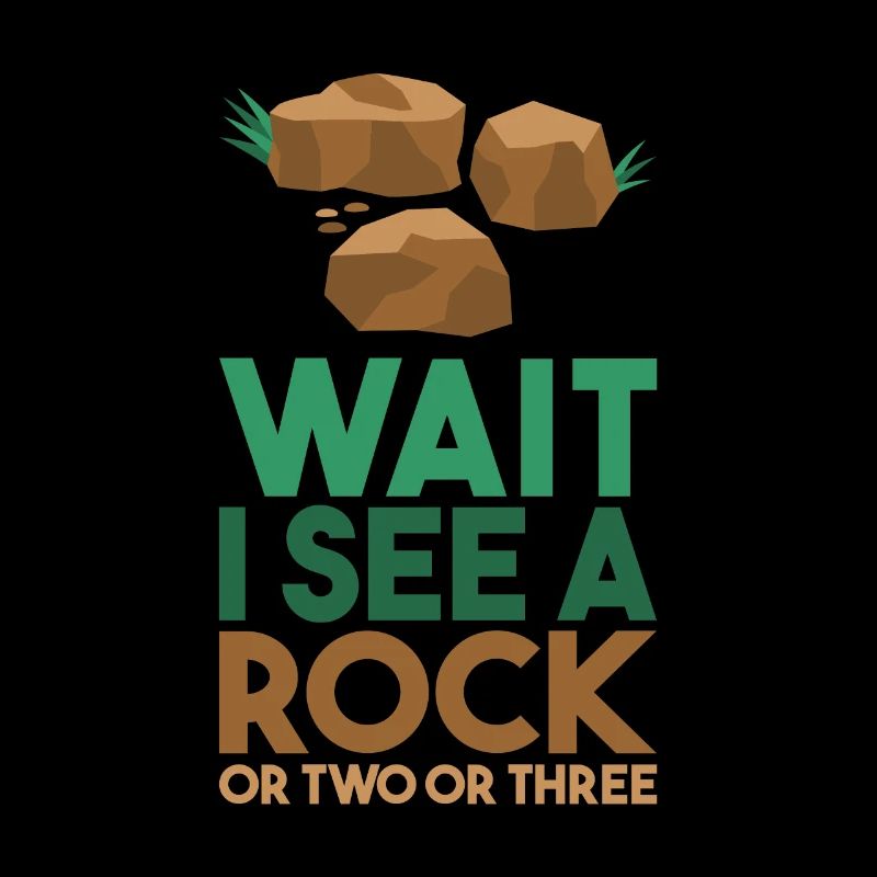 Wait I See A Rock