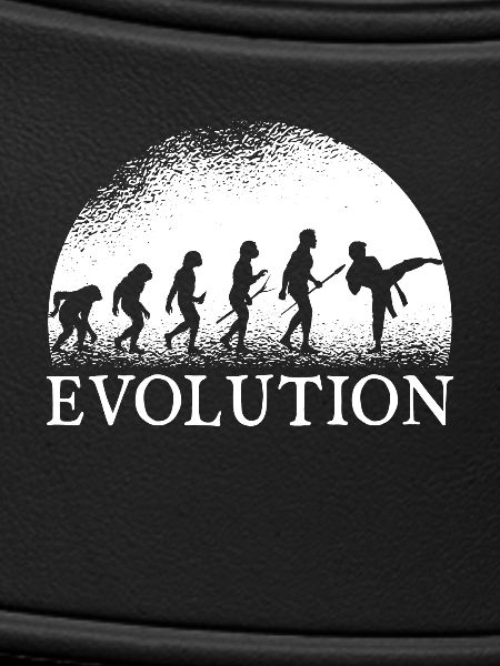 Karate evolution