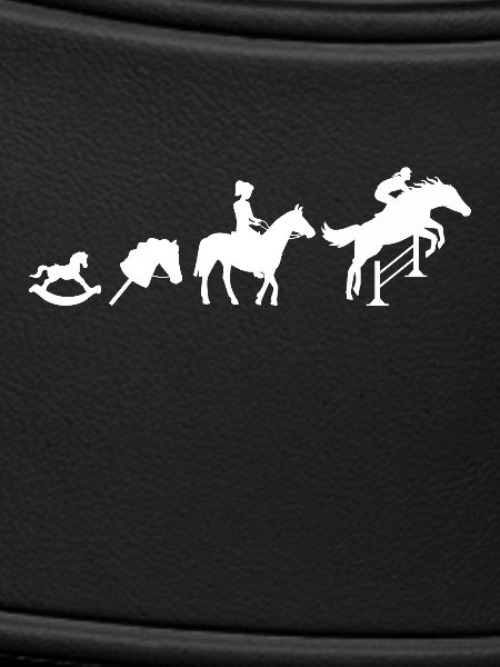 Evolution Springreiter Reiten