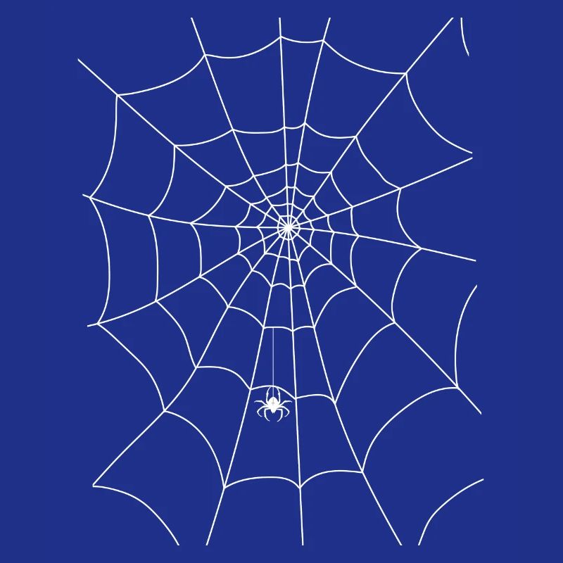 Spider web, spider, spider in the web