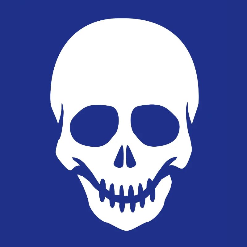 Skeleton Head Skull Skeleton