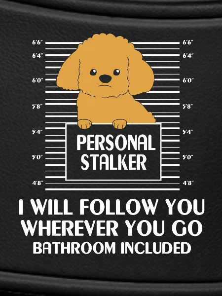 poodle