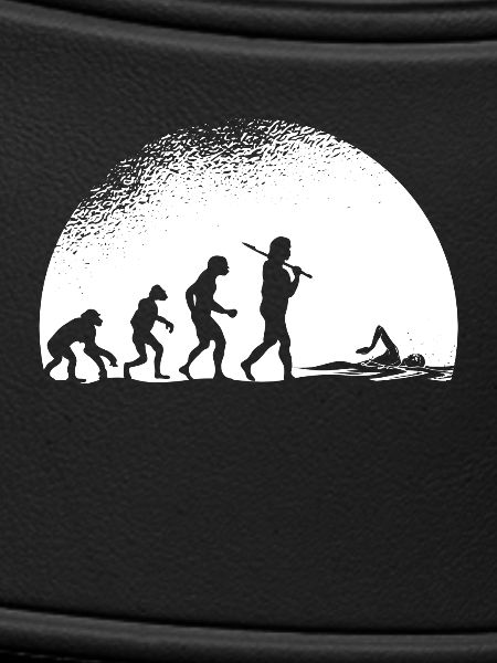 Evolution Natation