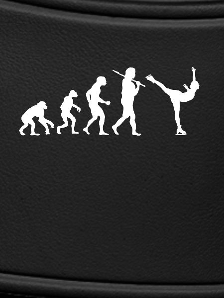 Evolution figure skating