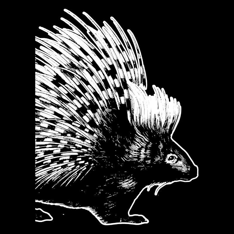 Prickly porcupine