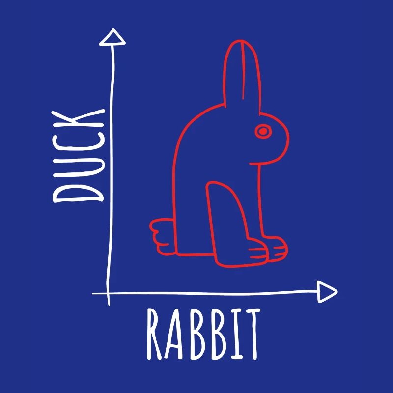 Optical Illusion Duck Rabbit Illusion Wittgenstein