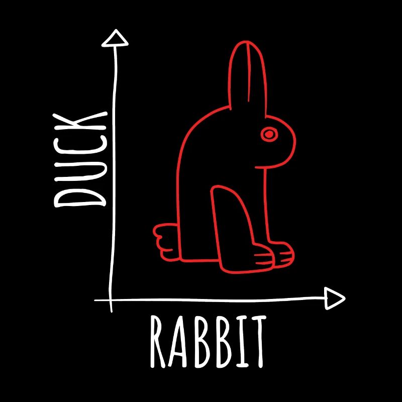 Illusion d’optique Canard Lapin Illusion Wittgenstein