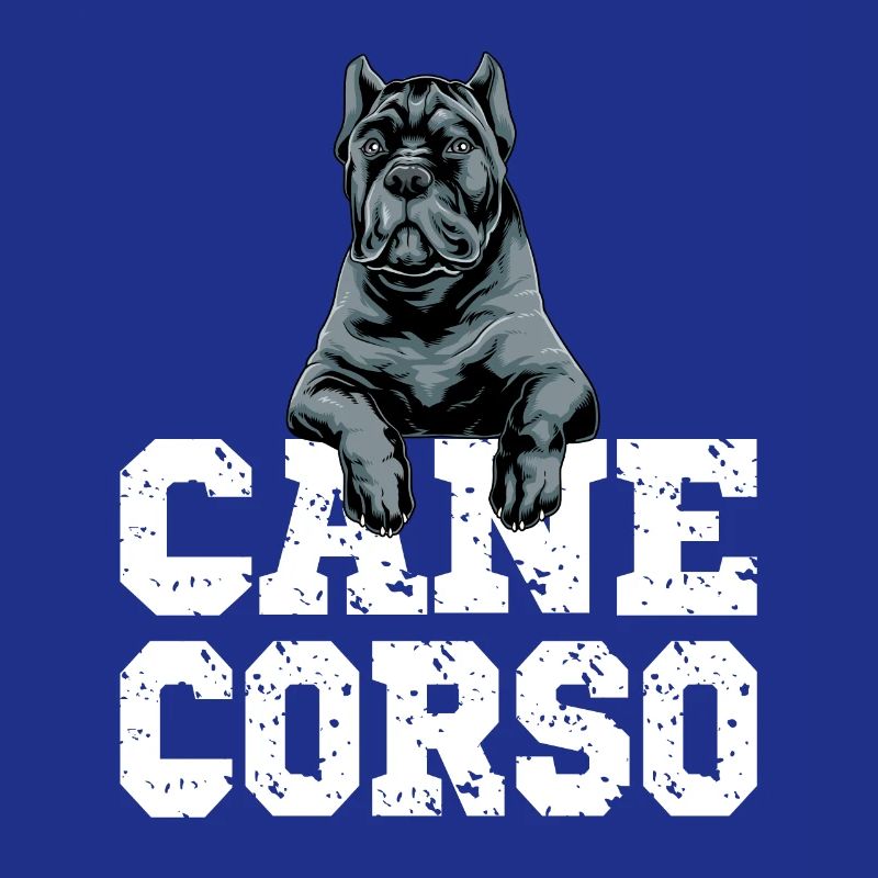 Cane Corso for a Cane Corso owner Cane