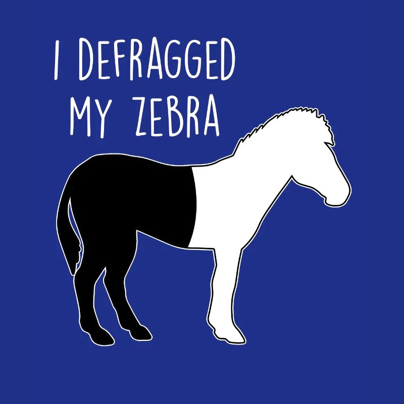 I defragged my Zebra Coder Informatiker Hacker