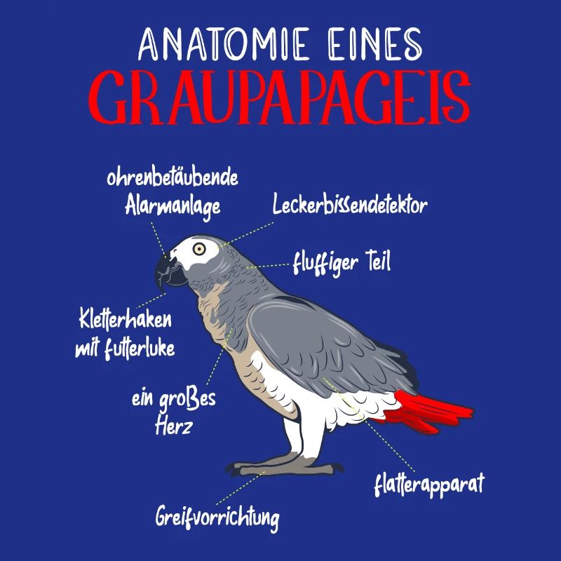 Anatomie eines Graupapageis Vogel Vogelhalter