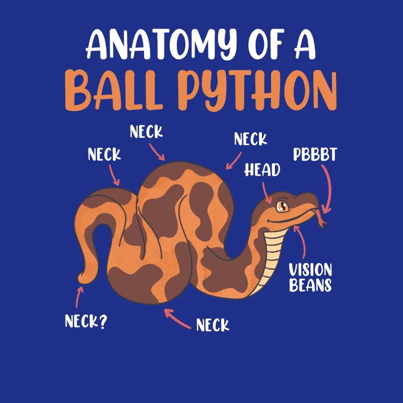 Schlangen Anotomie einer Königspython Ball Python