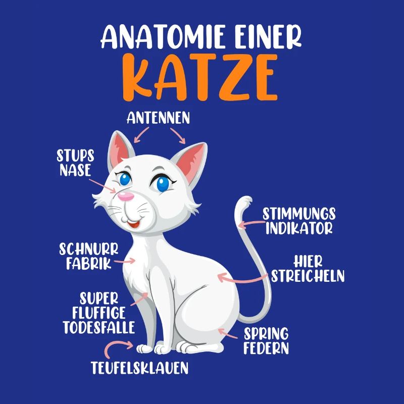 Anatomie einer Katze