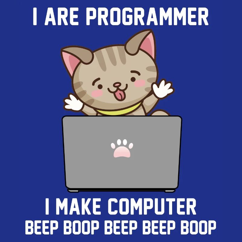 Programmer