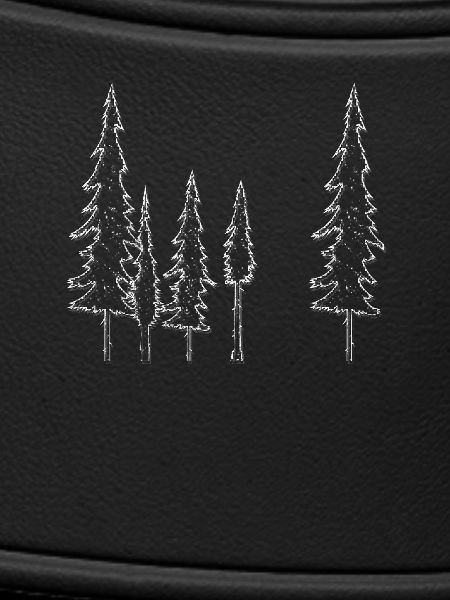 Trees Forest