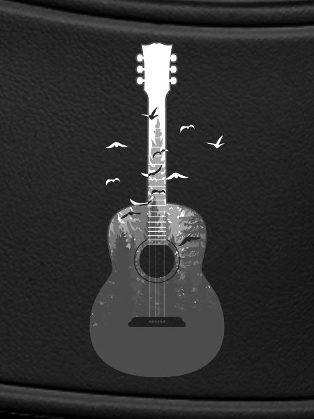 Guitar acoustics