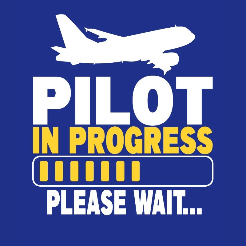 Pilot In Progress Please Wait