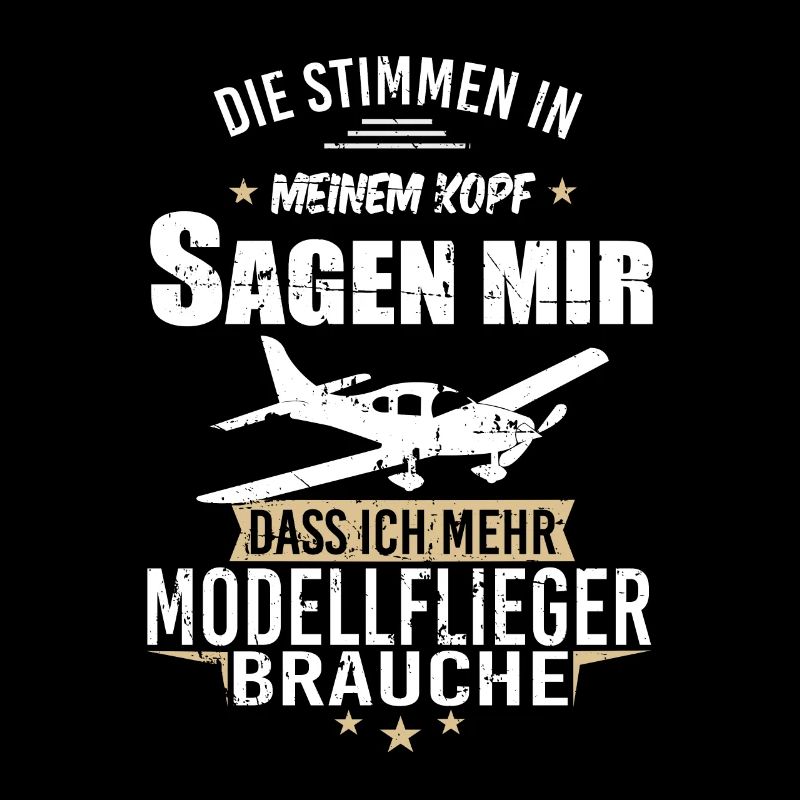 Modellbau Flugzeug Modellflug