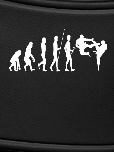 Évolution du karaté