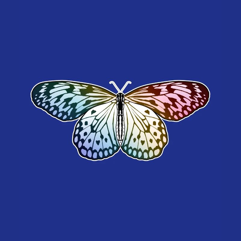 Papillon Arc-en-ciel