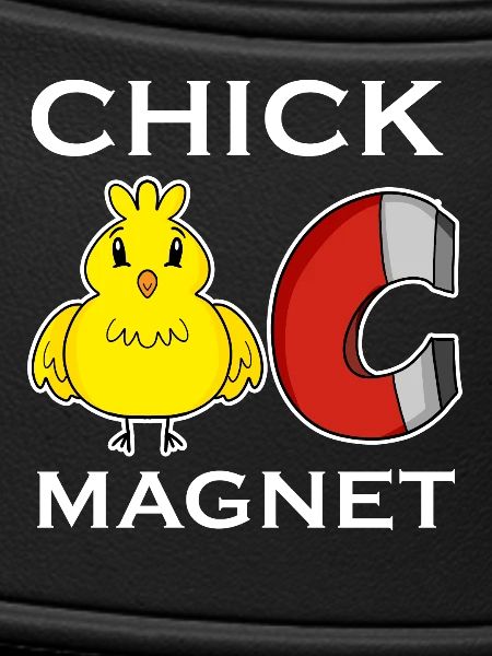 Chick Magnet
