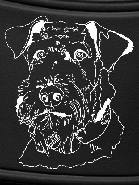 Airedale Terrier