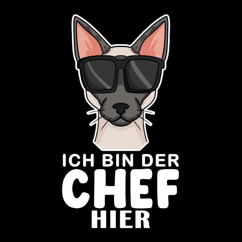 coole Katze - Siamkatze Spruch
