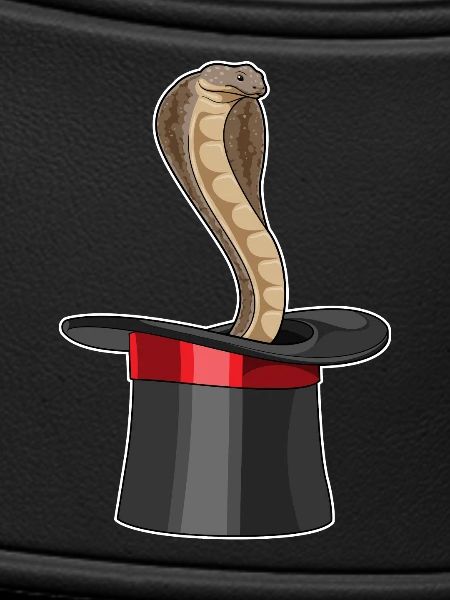 Snake Wizard Cylinder