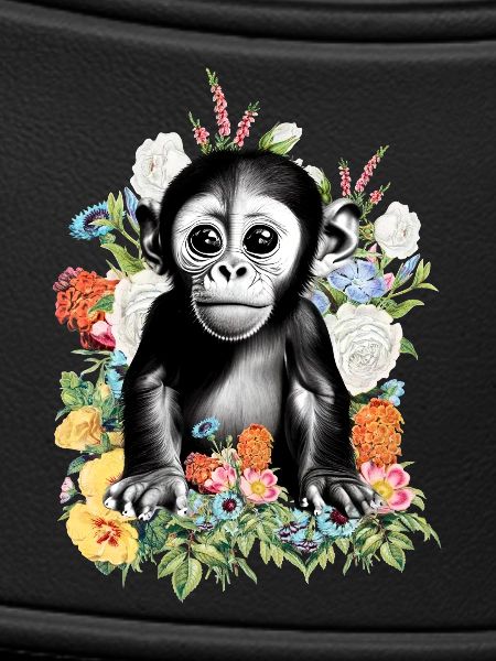 Monkey Flowers