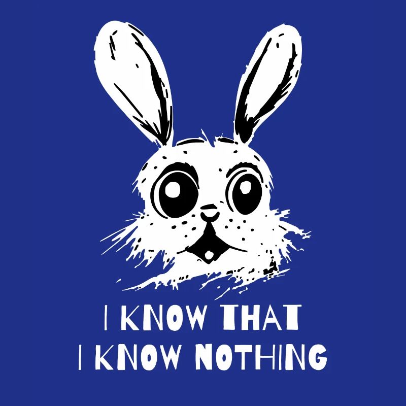 I Know That I Know Nothing - A Wise Rabbit