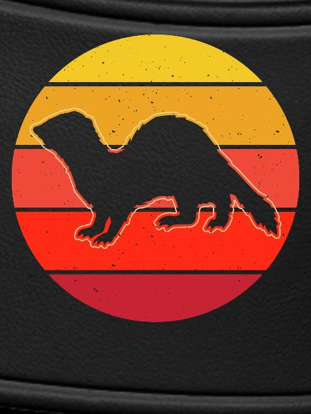 Ferret