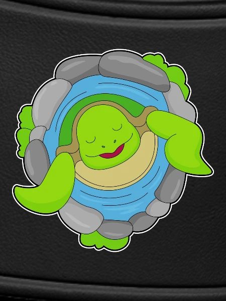 Turtle Fountain