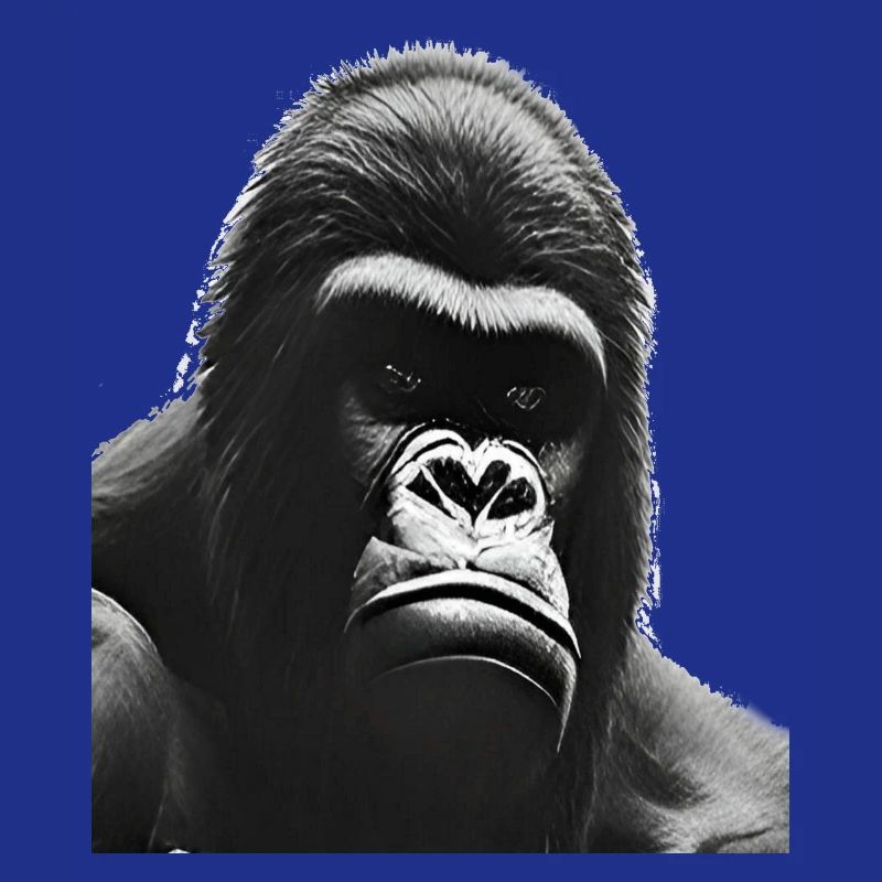 Silverback Gorilla