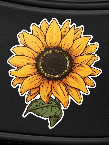 Sonnenblume