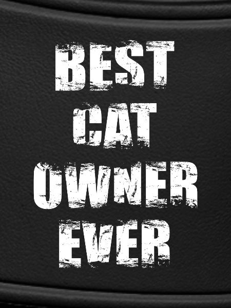 Best Cat Owner