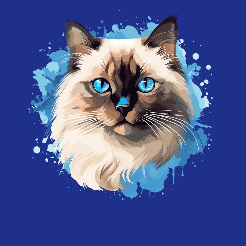 Chat de Birmanie Birma Katze