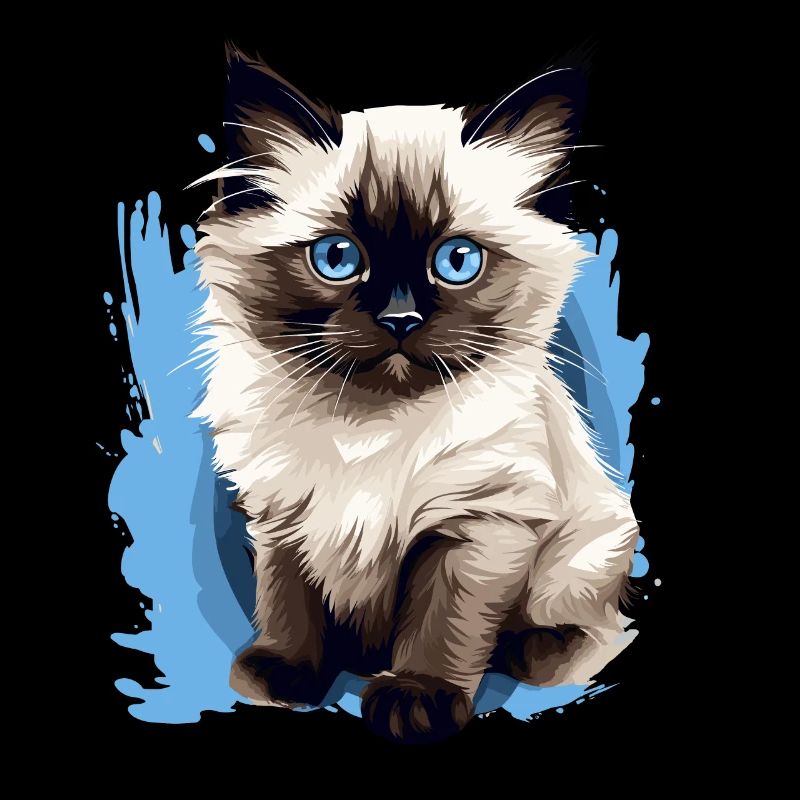 Chat de Birmanie Birma Katze