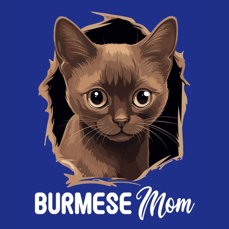 Chat birman Birmanie Katze