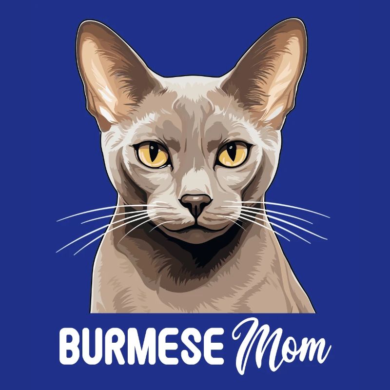 Chat birman Birmanie Katze