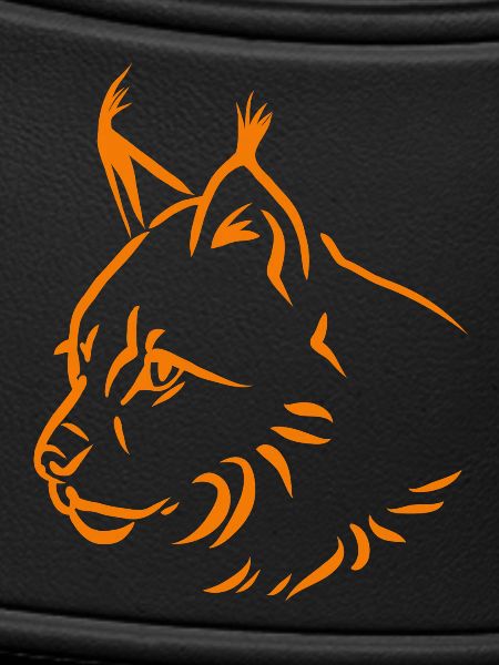 Lynx in orange