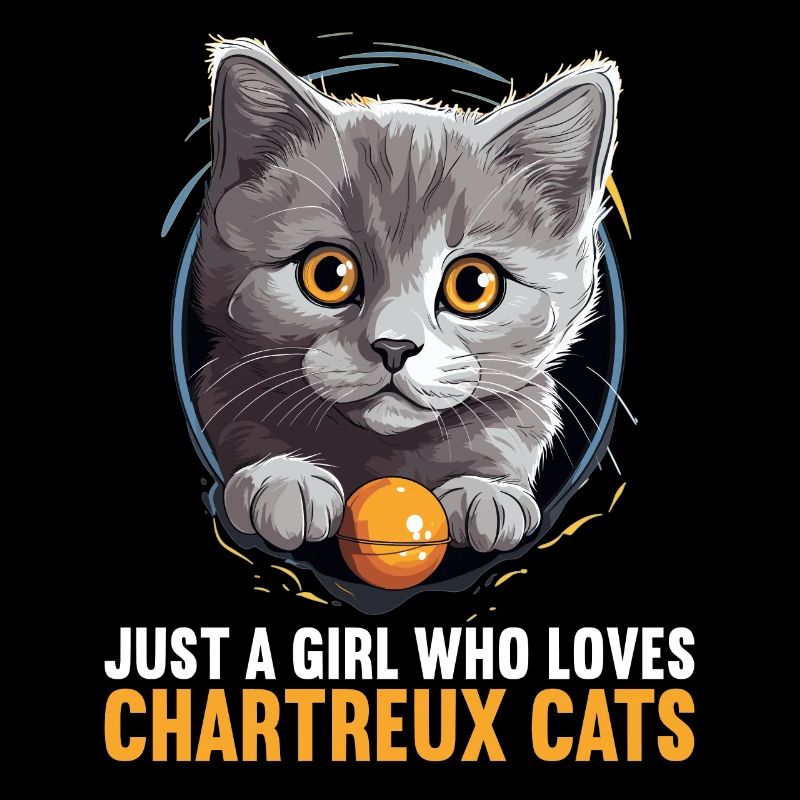 Chat Chartreux Chat Chartreux