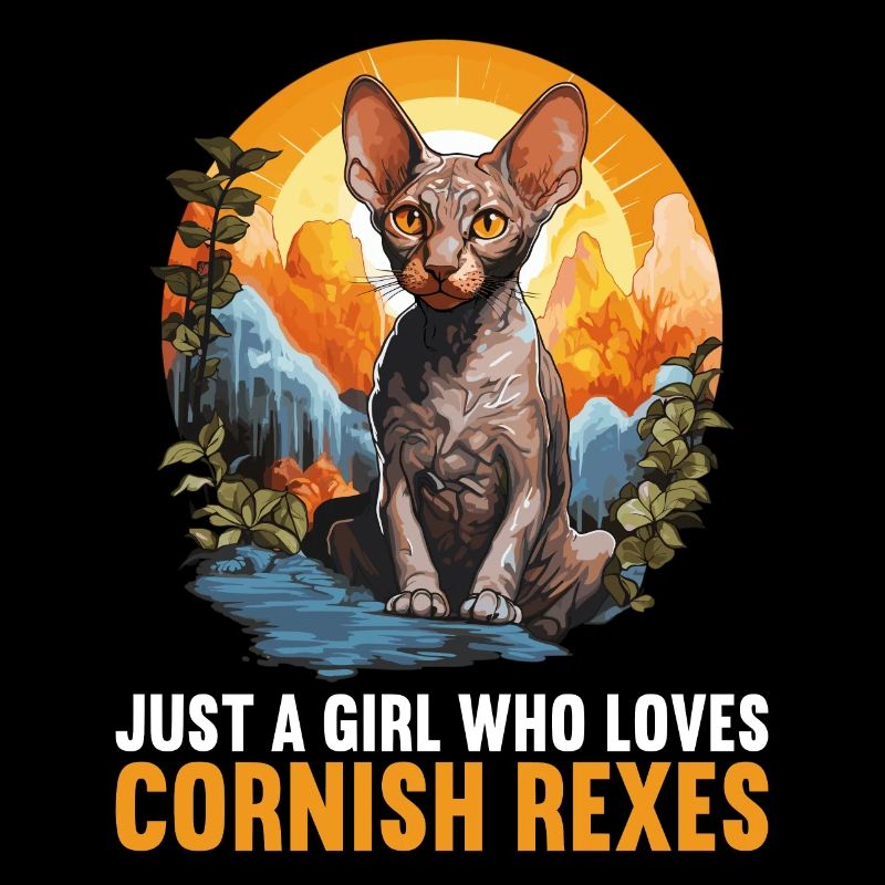 Cornish Rex Kätzchen Cornish Rex Katze